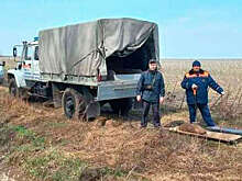 Старовойт: в Курской области поселок остался без света из-за обстрела со стороны ВСУ