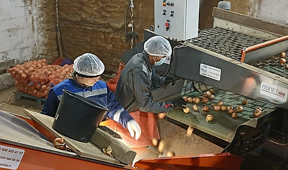 В Волгоградской области открылись первые в ЮФО агроагрегаторы фермерской продукции