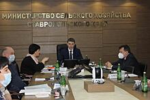 Итоги сортоиспытаний по итогам 2020 года обсудили в Минсельхозе Ставропольского края