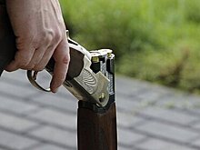 Оружейники оценили потери в отрасли из-за ужесточения закона