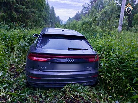 Житель Советска пытался задавить полицейского