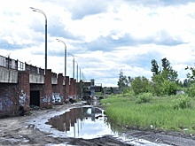 Власти через камеры собрались следить, как ярославцы выбрасывают мусор