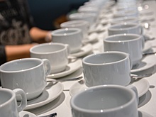 Самарский школьник выиграл 90 тысяч рублей в «Что? Где? Когда?» за вопрос о чае