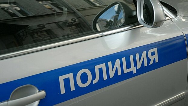 Полиция выявила 95 нелегальных мигрантов на территории бывшего оздоровительного комплекса в Подмосковье