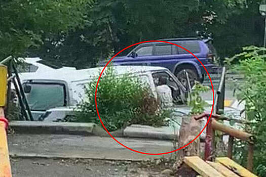 Во Владивостоке пешеход набросился на водителя, который не уступил дорогу