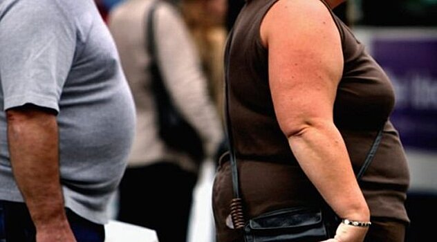 Переключатель в мозге поможет толстякам стать худыми