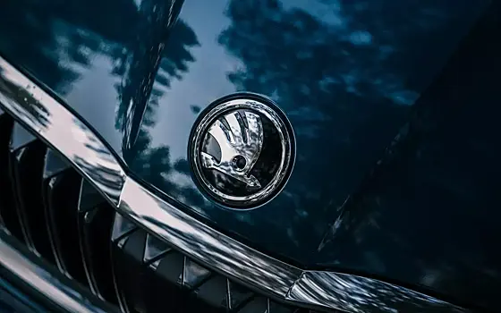 Названы проблемные модели Skoda с пробегом