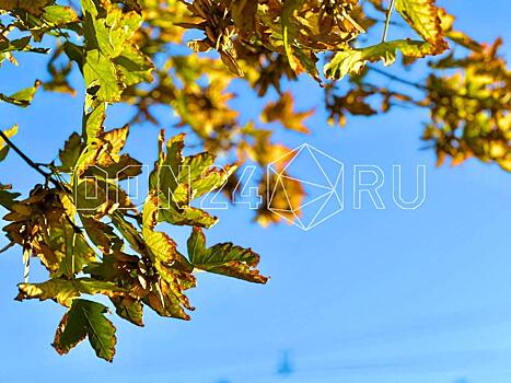 ИИ-синоптик: В Ростове прохладный, влажный воздух, осадки не ожидаются