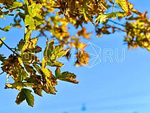 ИИ-синоптик: В Ростове прохладный, влажный воздух, осадки не ожидаются