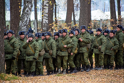 Около 300 обращений о нарушении прав мобилизованных получила омбудсмен в Новосибирской области