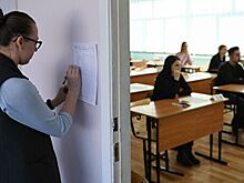 Рособрнадзор прорабатывает вопрос сдачи ЕГЭ онлайн
