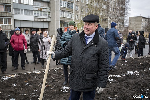 Локоть, рябины, комсомол: на Северо-Чемском появилась аллея из 100 красных деревьев