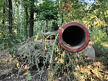 Враги встревожились из-за «секретной» военной базы дружественной России страны