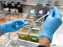 Яровая рассказала о перечне заболеваний, на которые проверяют мигрантов