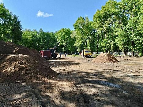 В парке Гагарина уберут около 80 тополей у новой спортплощадки