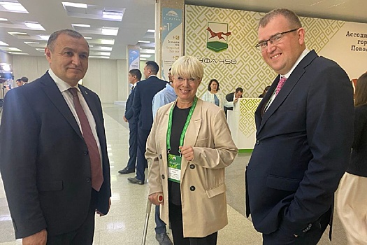 Регионы Поволжья обсудили в Уфе, что делать с бездомными собаками
