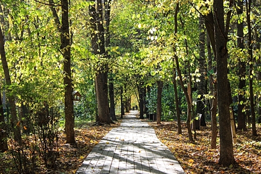 Тайны прибайкальского края: редкие и краснокнижные животные Иркутской области