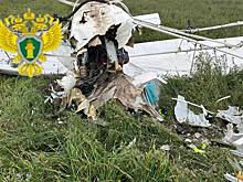 Названа предварительная причина авиакатастрофы в Подмосковье