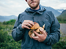 В Благовещенске грибник в лесу нашел спящего пьяного мужчину и обворовал его