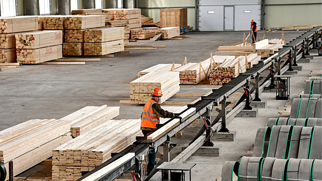 Россия увеличила экспорт древесины в Северную Африку и Азию