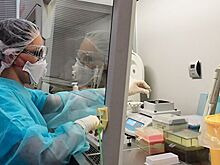 Число заболевших COVID-19 в Белгородской области достигло 232 человек