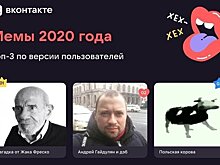 Пользователи "ВКонтакте" определили главный мем 2020 года