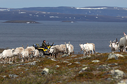 Найдены древнейшие следы присутствия людей в Арктике