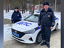 В Томской области автоинспекторы помогли женщине, на питомца которой прыгала потерявшаяся овчарка