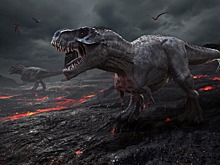 Динозавры вымирали во мраке