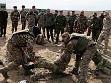 Донские казаки повысили уровень боевой готовности