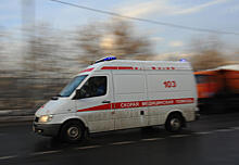Трое украинцев погибли в ДТП в Орловской области