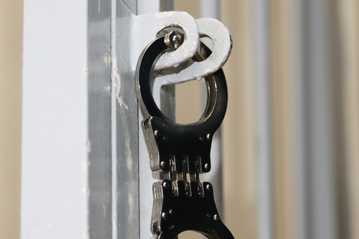 Власти прибалтийской страны предъявили обвинения вице-президенту русской общины