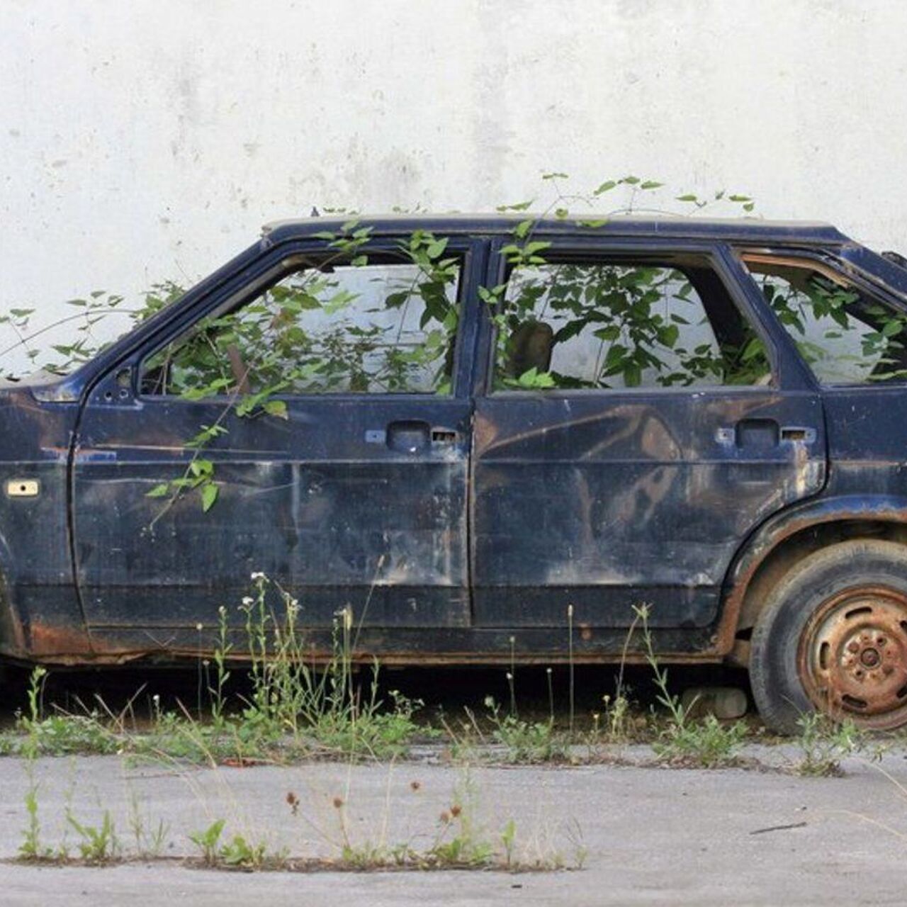 Во дворе более двух лет стоит брошенный автомобиль — что делать? - Рамблер/ авто