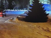 Водитель Hyundai Getz задом сбил пенсионера в Степном