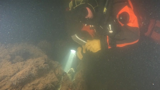 В РГО рассказали о последнем вылете «Ил-2», найденном в Финском заливе