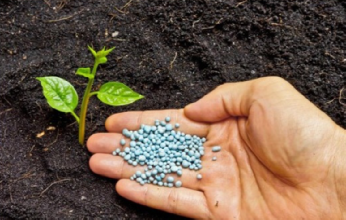 азотное удобрение кас-32. удобрения минеральные азотные фосфорные. внесение удобрений. внесение безводного аммиака в почву. карбамидно-аммиачная смесь кас-32.