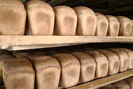 Хлебное место Серовской прокуратуры