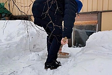 Российского пенсионера замуровало дома снегом
