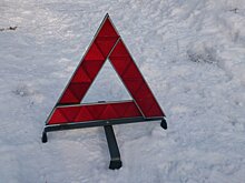 В ДТП под Серпуховом приняли участие замороженные куры