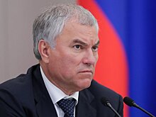Володин прокомментировал ратификацию Римского статута в Армении