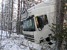В Карелии легковой автомобиль столкнулся с грузовым. Водитель в больнице
