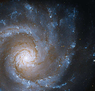 Грань огромной спирали Grand Design NGC 3631 в объективе «Хаббл»