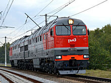 Коммерсант незаконно занимался ремонтом железнодорожных локомотивов в Оренбургской и Самарской областях