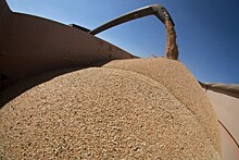 Россия вывезла на экспорт треть зерна от плана