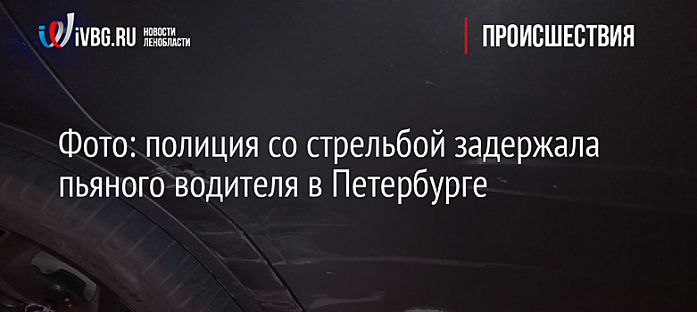 Фото: полиция со стрельбой задержала пьяного водителя в Петербурге