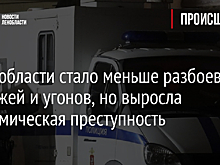 В Ленобласти стало меньше разбоев, грабежей и угонов, но выросла экономическая преступность