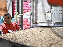 Глава МИД Гондураса заявил о заинтересованности в расчётах в нацвалютах