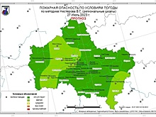 На большей части территории Подмосковья ожидается I класс пожарной опасности 27 июля