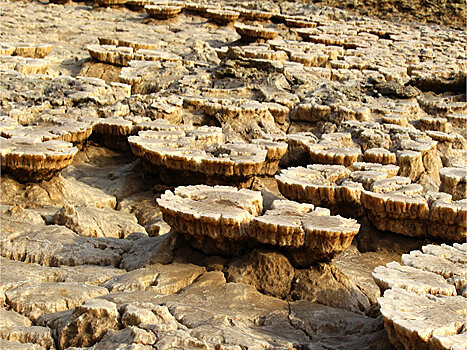 Ученые назвали  самую "инопланетную" точку Земли