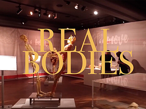 В Великобритании на выставке Real Bodies выставили части человеческих тел, которые могли принадлежать китайским диссидентам